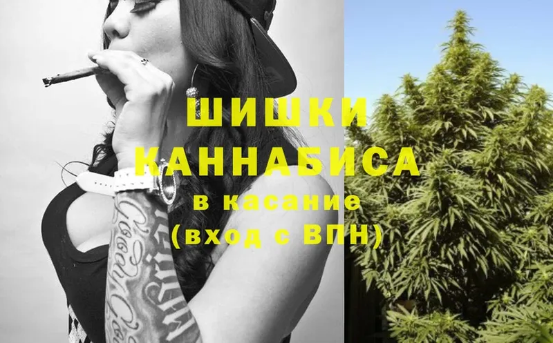 как найти наркотики  Нюрба  Бошки марихуана OG Kush 